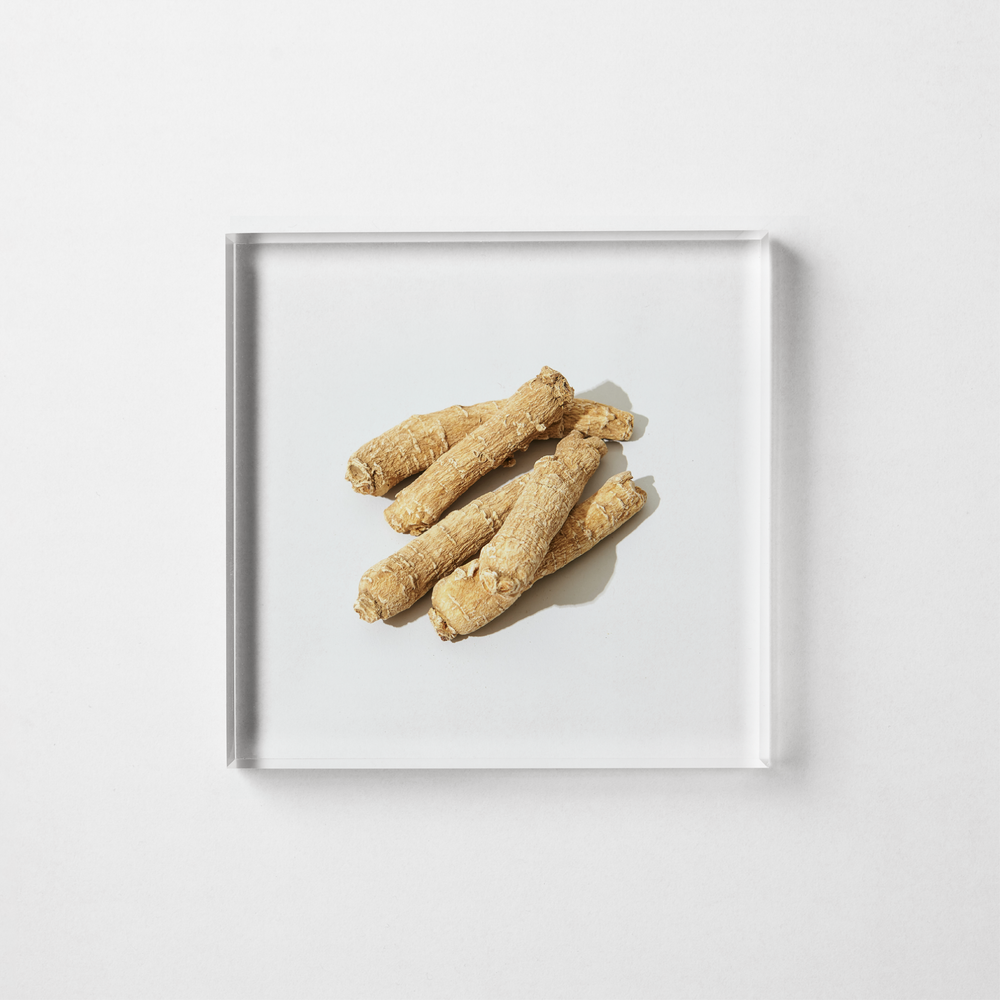 PANAX GINSENG